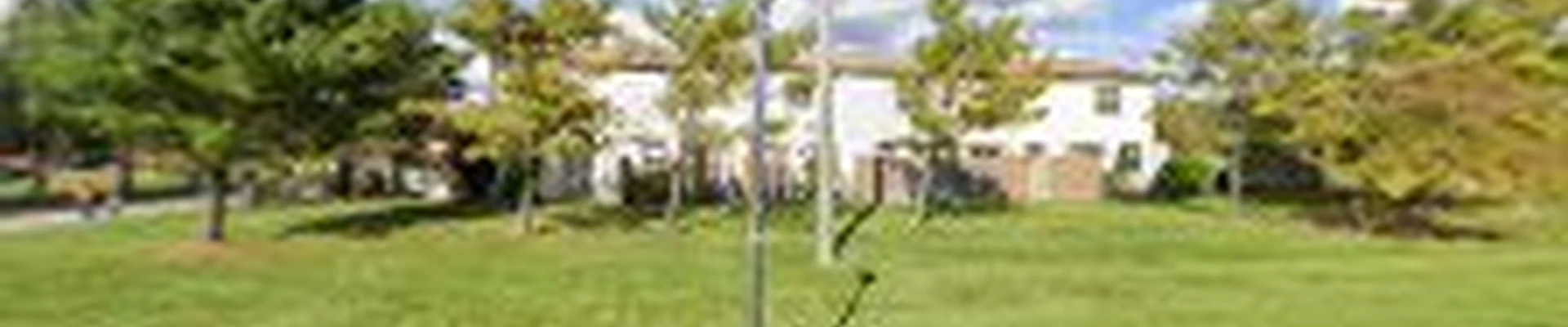Ely's Tree Services
