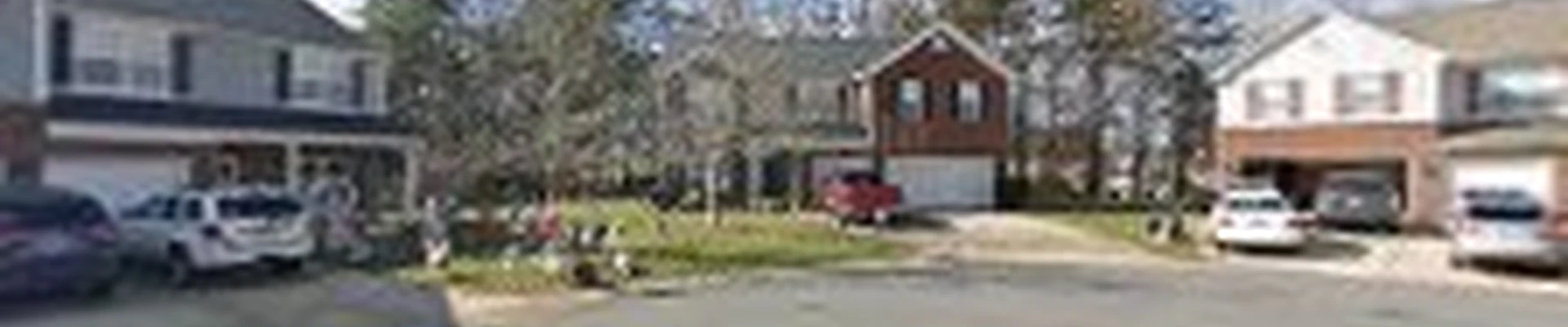 Deep Roots Tree Service, LLC🌳