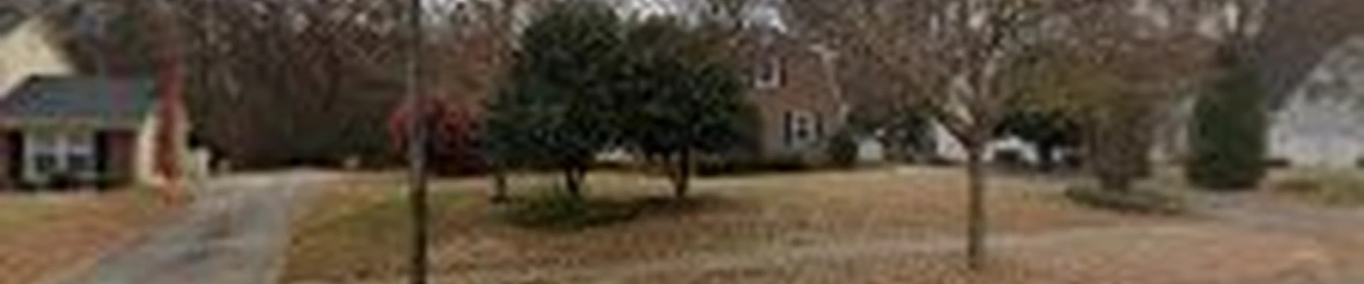 CLT Tree LLC
