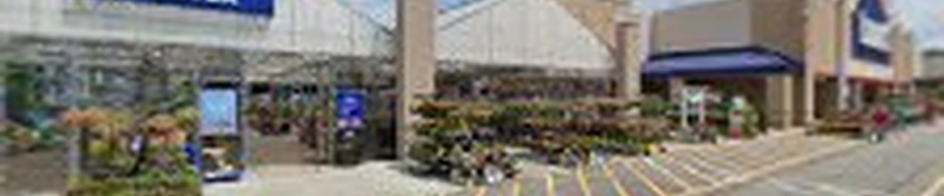 Lowe's Garden Center