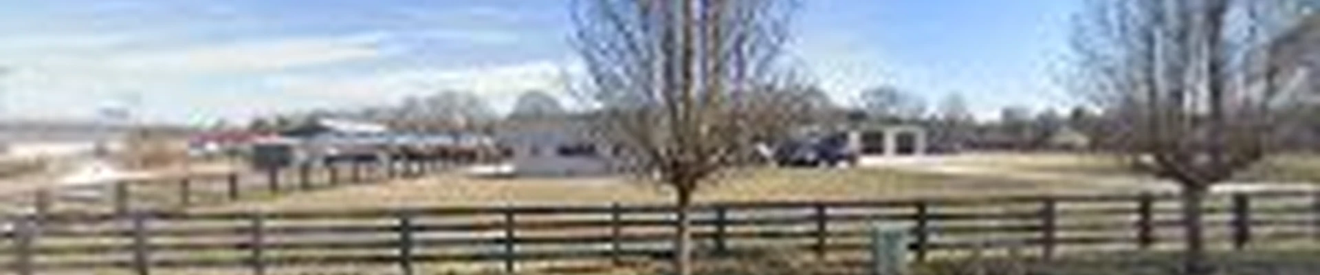 Arborvision Tree Care LLC