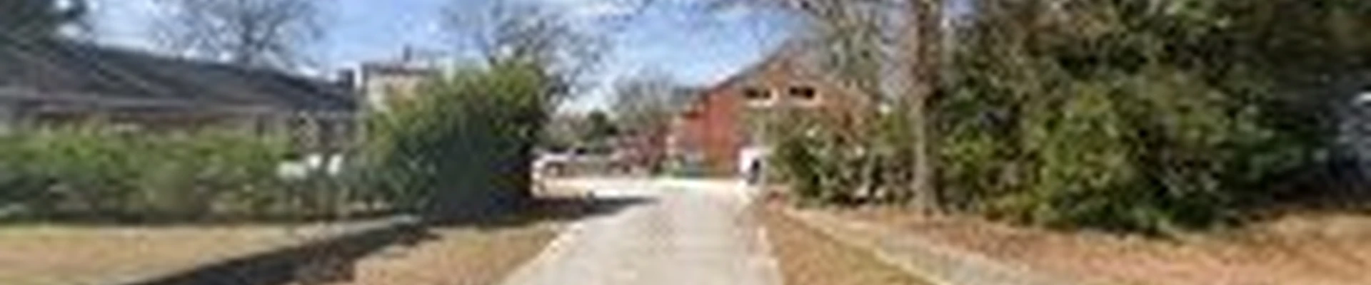 Niwaki Tree Services
