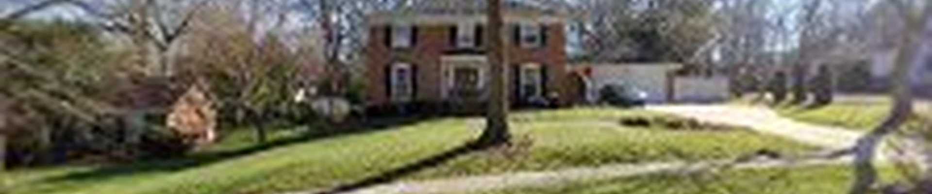 MTM Tree Services