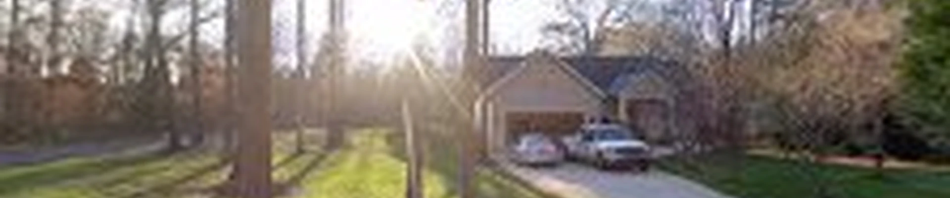 Solutions Concrete and Tree Service