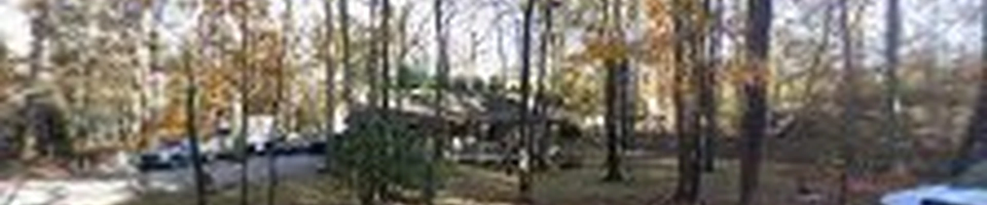 J.R. Morgan Tree Service, LLC