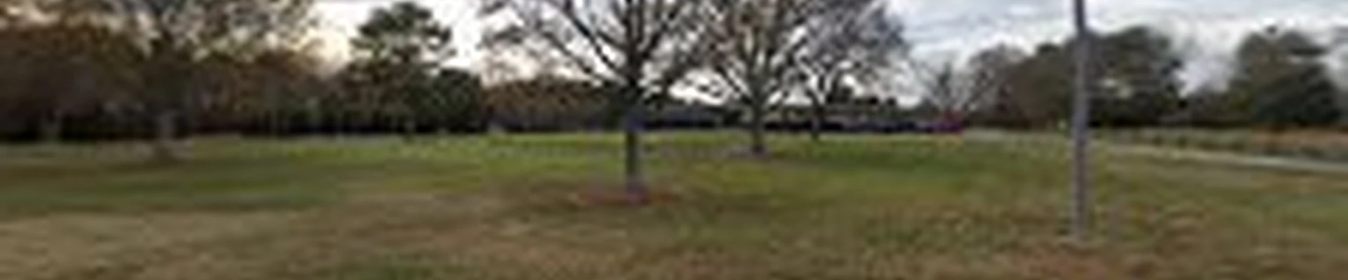 EZ Tree Solutions, LLC