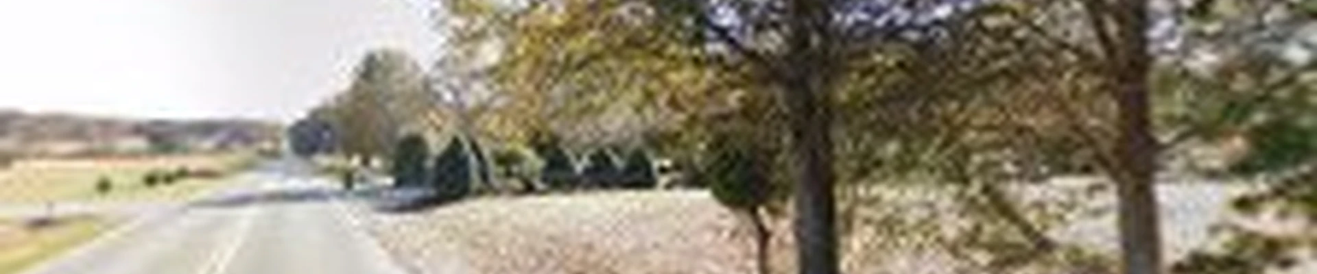 Tree Works
