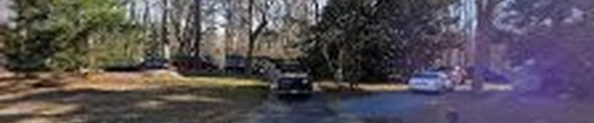 R Watkins Tree Service