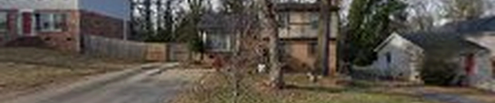 Rene Tree Service LLC