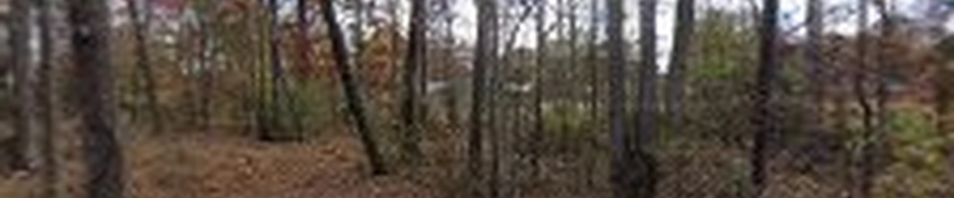 Integrity Tree Care