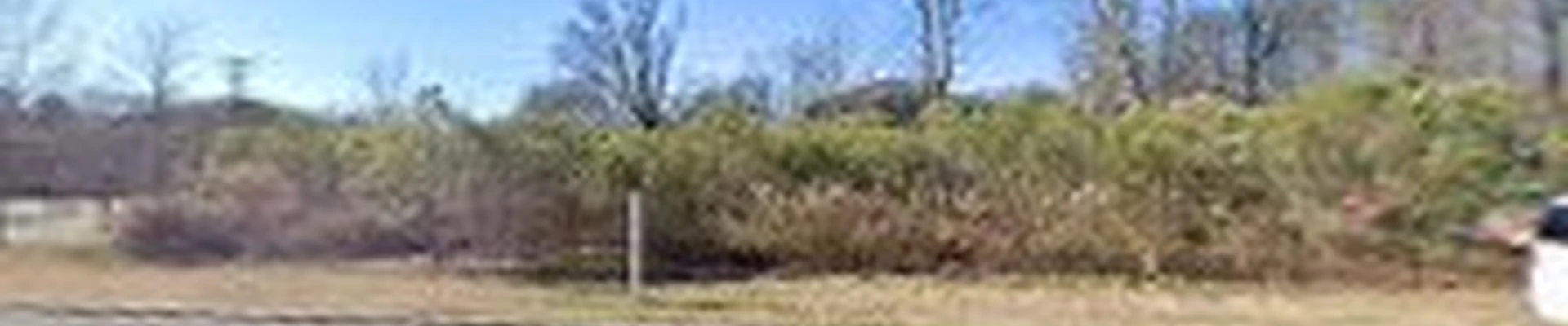 Affordable Tree Service Charlotte