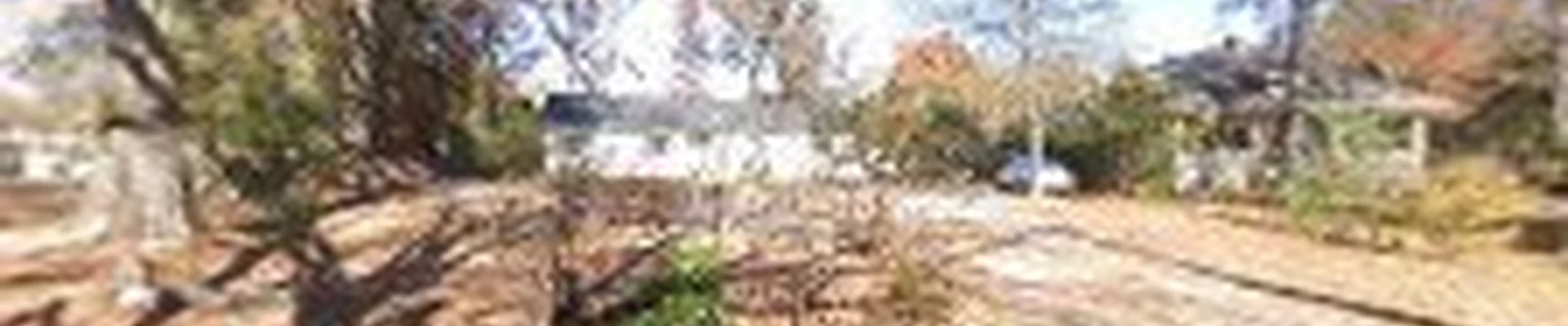 Bruno Tree Service LLC