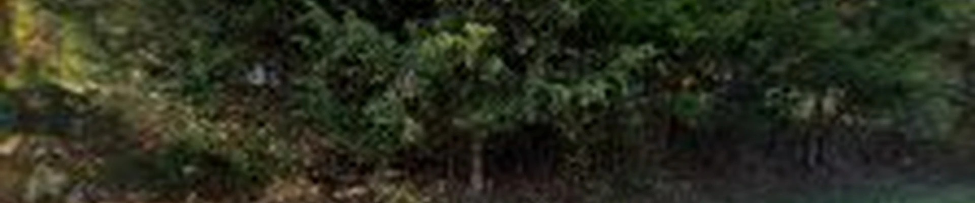 Boon Tree Service