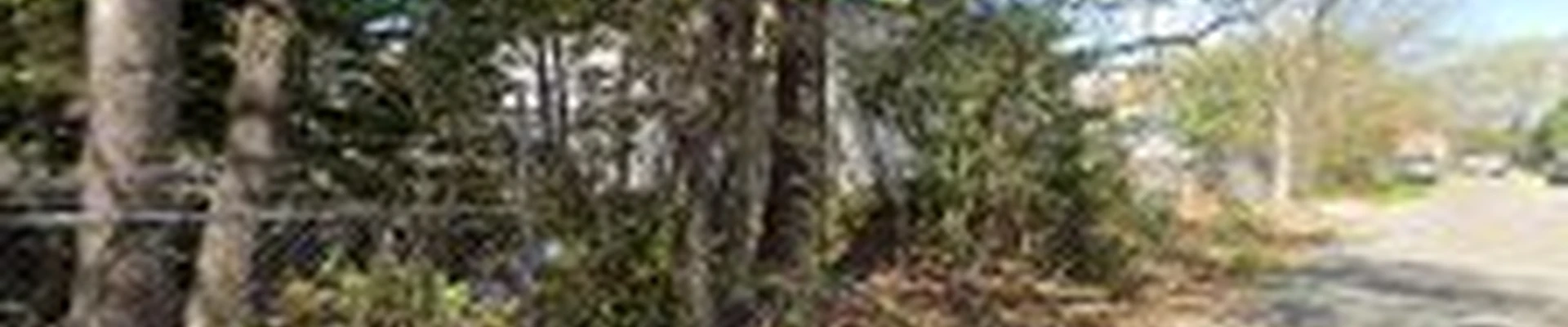 Southside Land and Tree Service