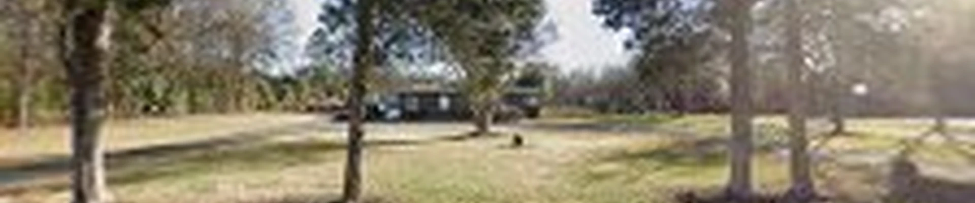 Advance Tree Service LLC