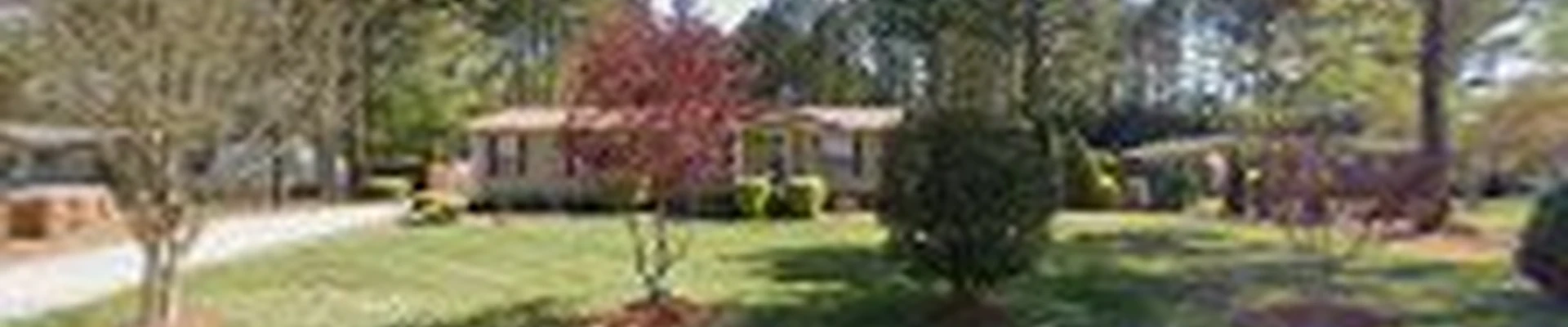Chippers Tree Services