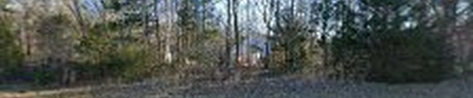 Redline Tree Services
