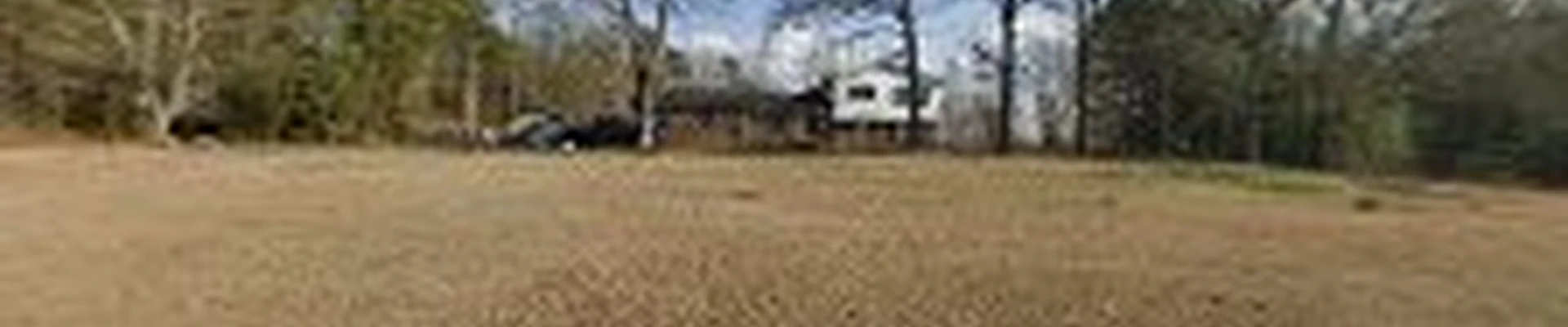 AG JUNK REMOVAL&TREE SERVICES