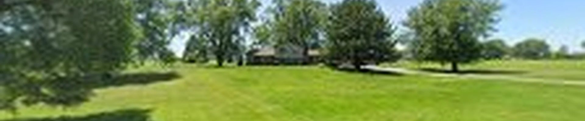 Sharper Image Tree Service