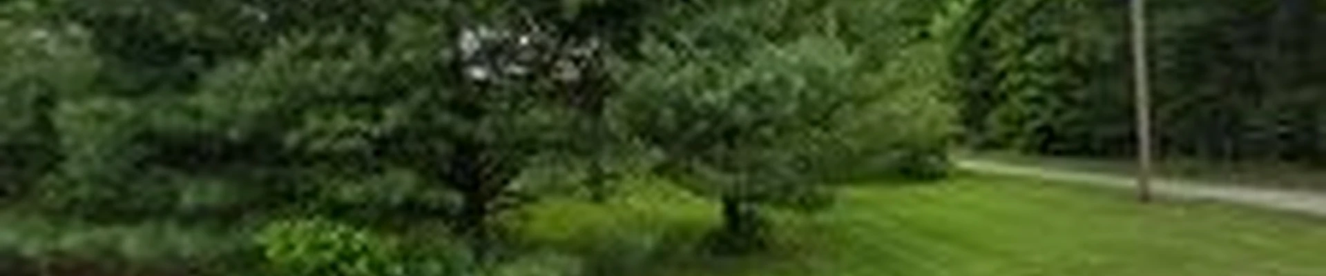Menchhofer Tree Care LLC
