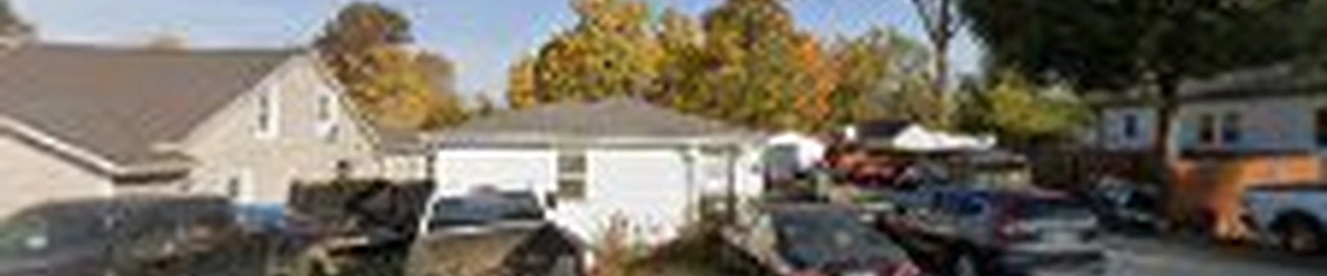 Condados tree service