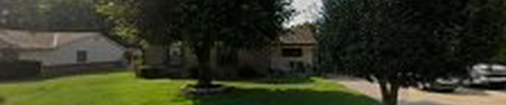 Tom’s tree experts llc