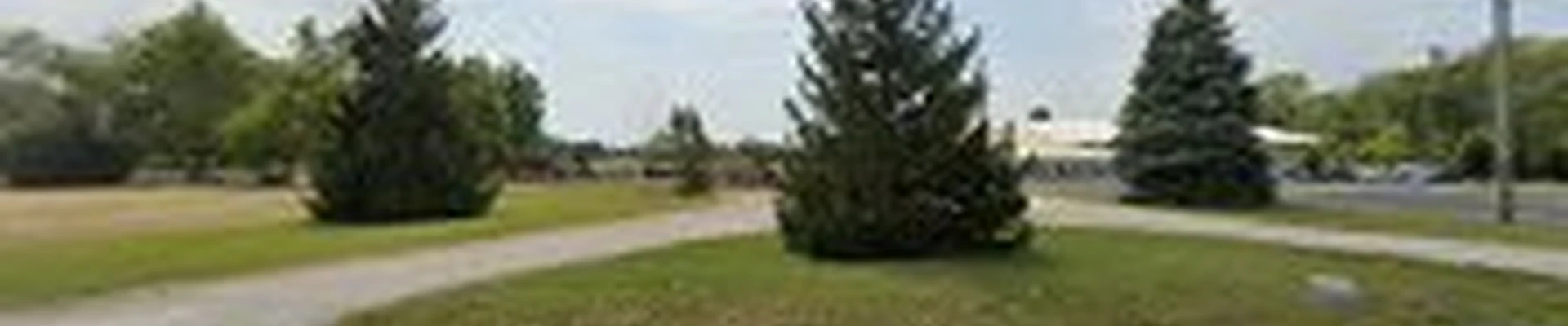 Arbor Tree Company