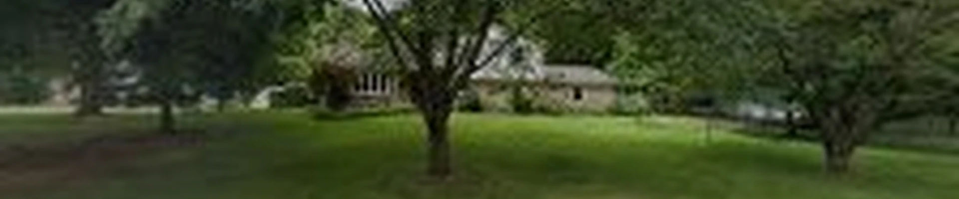 Green Tree Services
