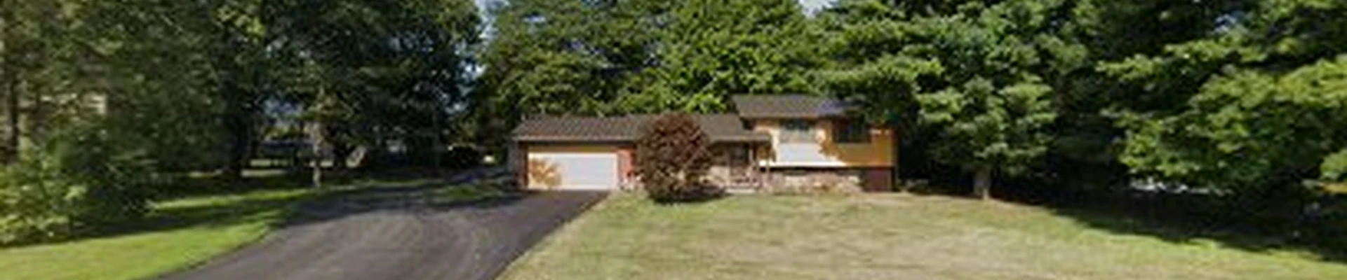 Bryant & Son's Tree Services