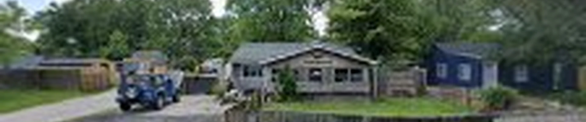 Dave's Tree and Lawn