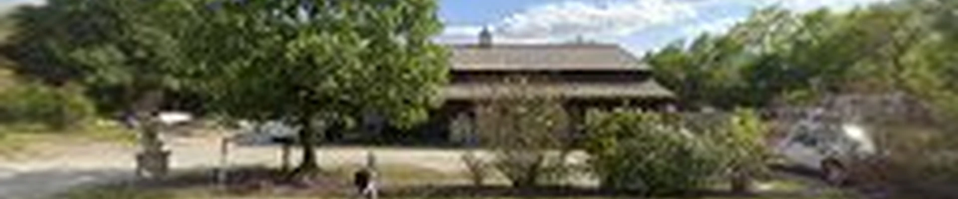 SavATree - Tree Service & Lawn Care