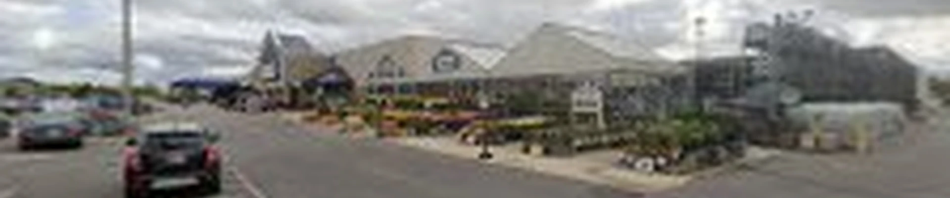 Lowe's Garden Center