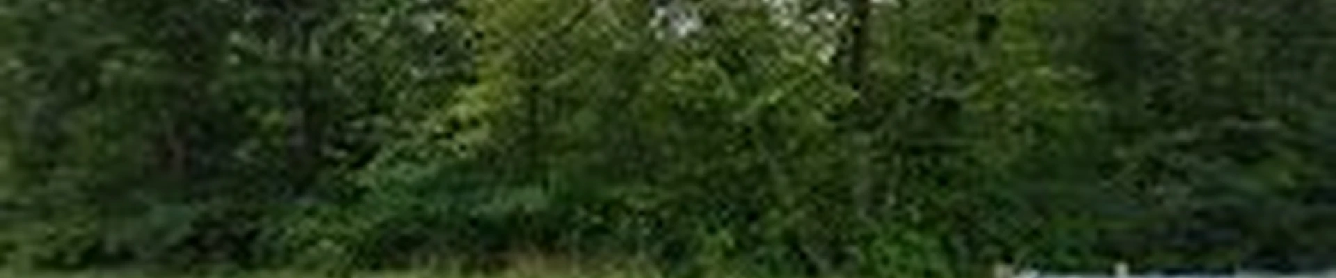 Trees R Us Inc.