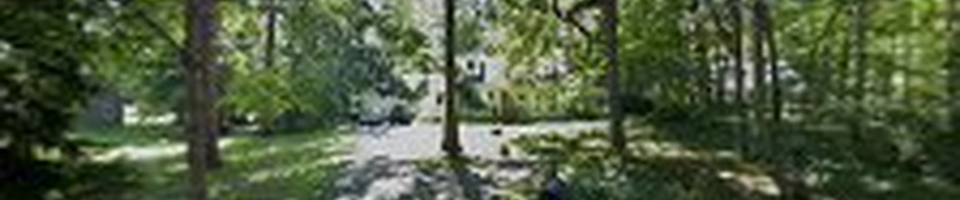 Carmel Tree Service