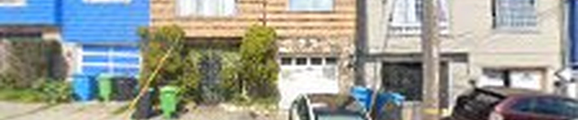 Tree Service San Francisco