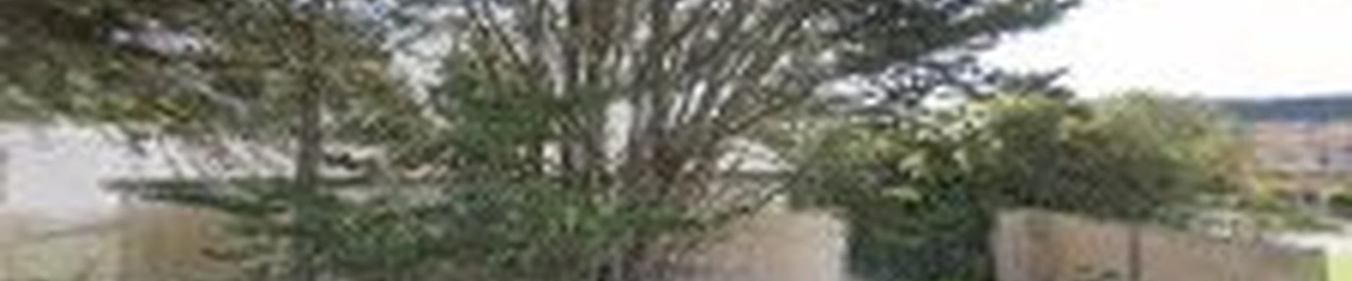 The Davey Tree Expert Company