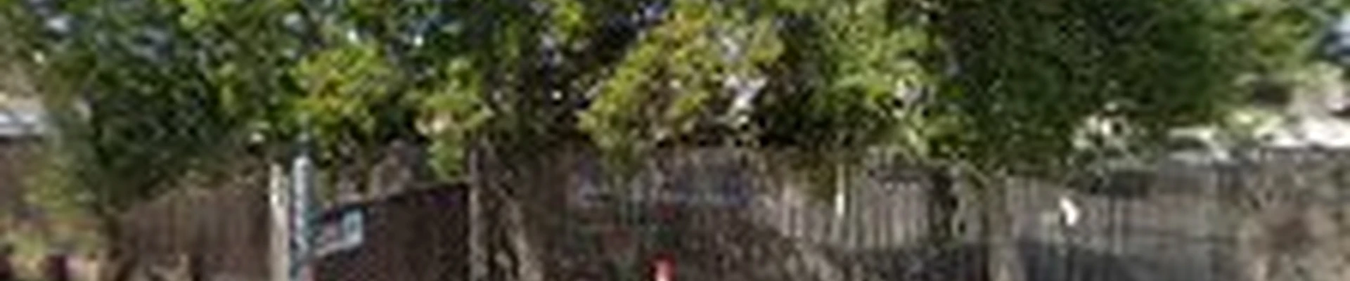 Mayne Tree Expert Company Inc.