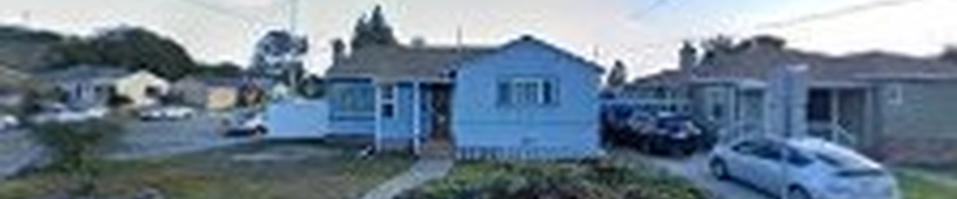 Tree Service San Leandro Pros