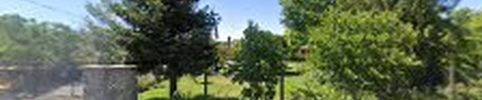 Green Valley Tree Services