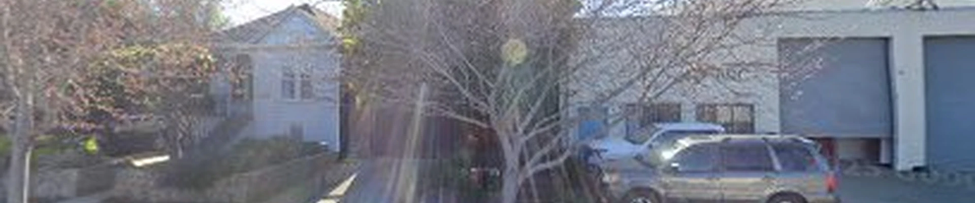 Professional Tree Care.