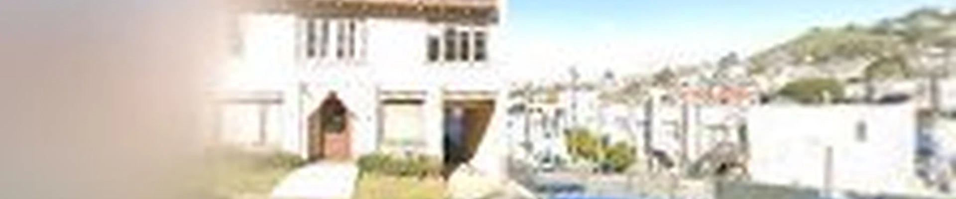 Bay Area Arborist Cooperative