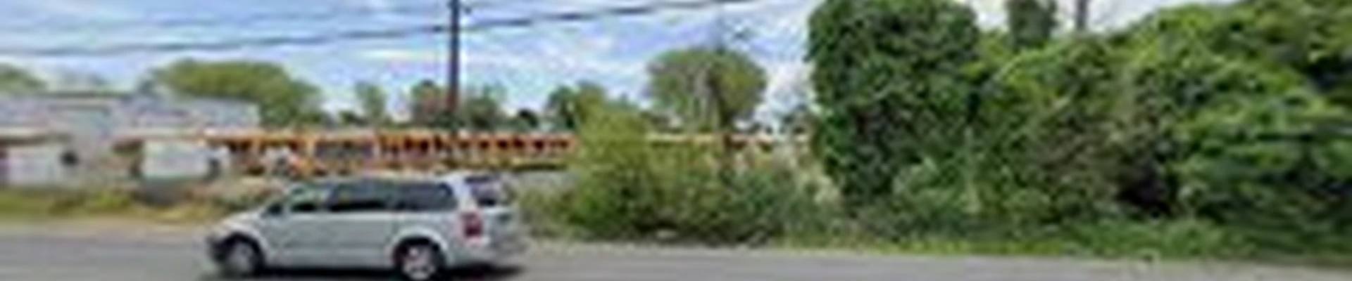 Best Quality Tree Service