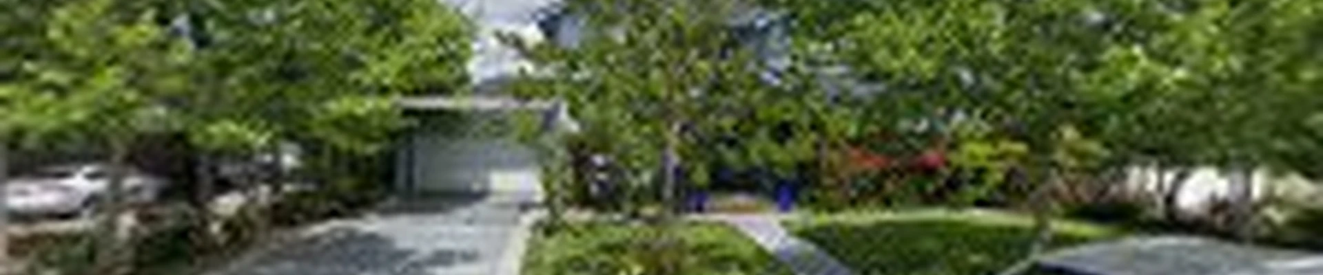 Mr. Arbor Tree Care Arborists