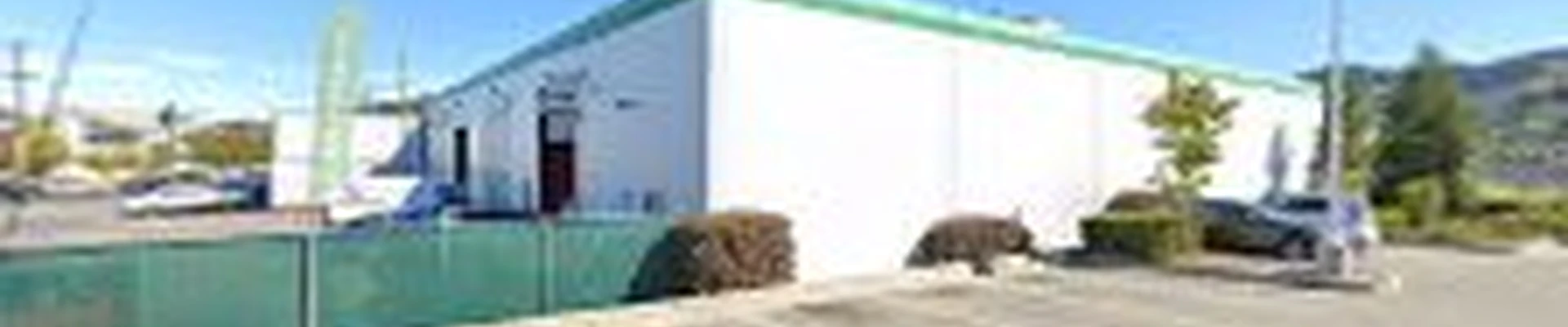Marin County Arborists