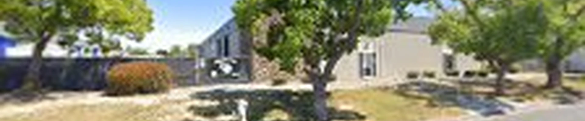 Evergreen Tree Care