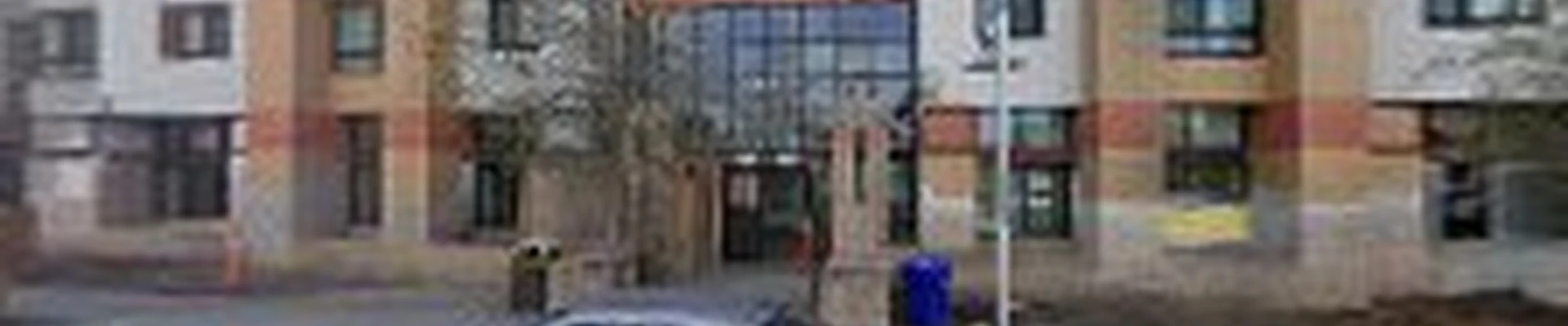 Tidy Trees Service Richmond