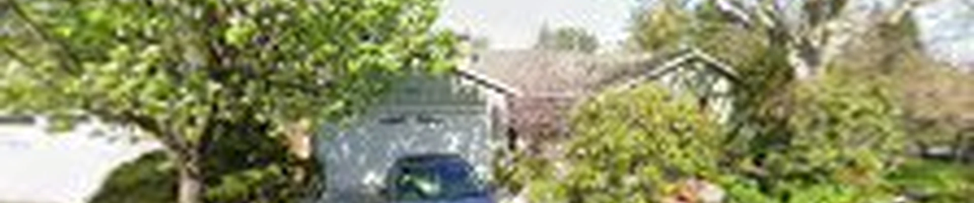 California Tree Service