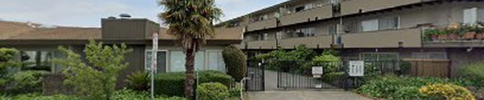 Morales Tree Expert Corporation