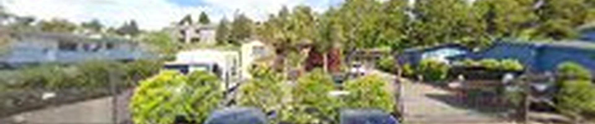 The Tree Solution Corporation