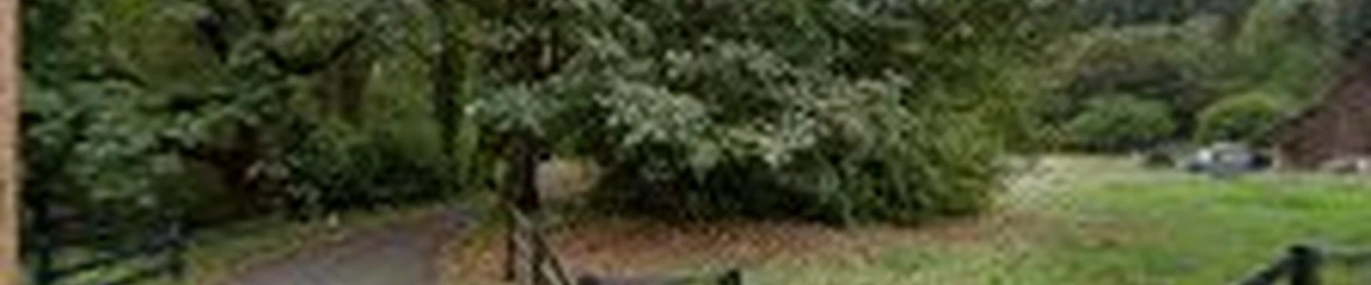 Apex Tree Experts - Gig Harbor
